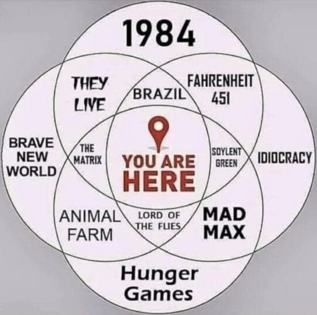 The Rabbit Hole tweet media