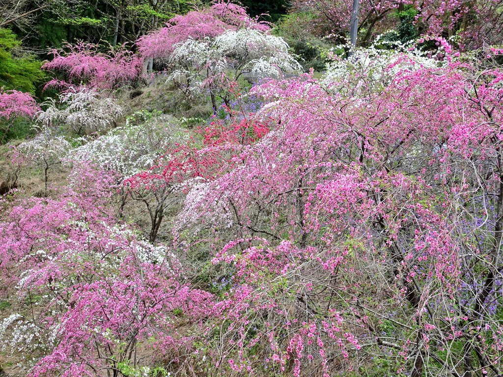 あき✿⁠ tweet media