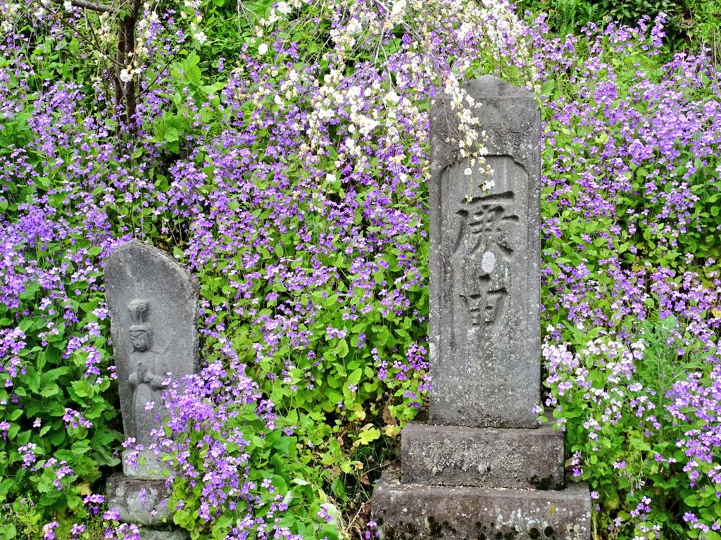 あき✿⁠ tweet media