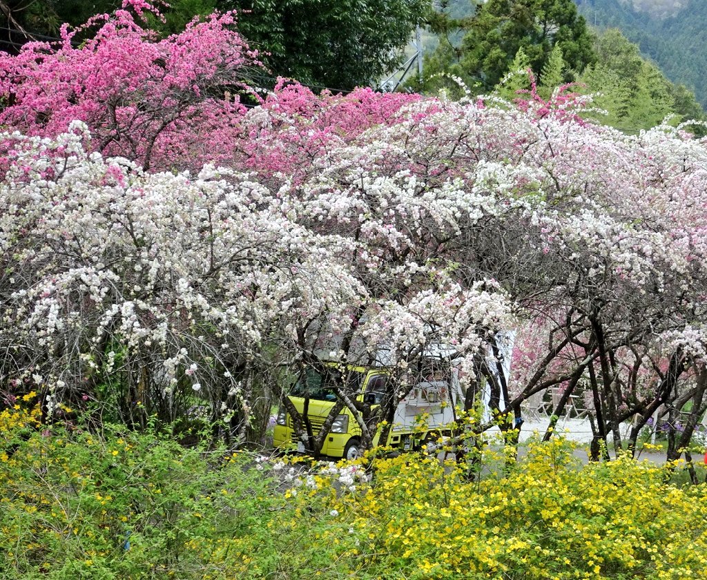 あき✿⁠ tweet media