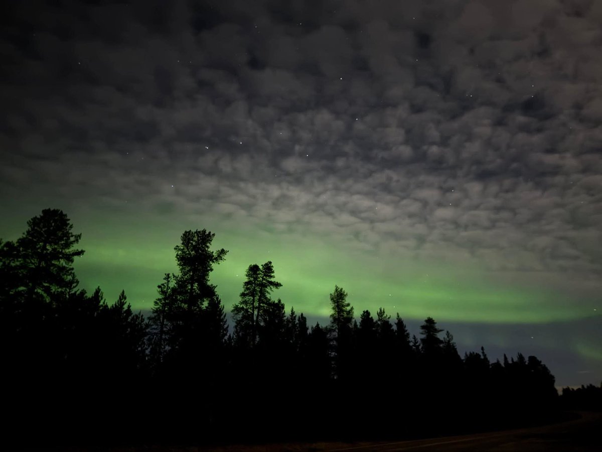 Tony Buổi Sáng tweet media