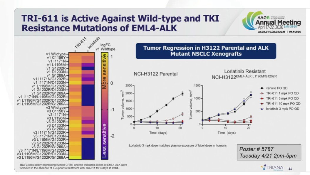 LUNGevity Foundation tweet media
