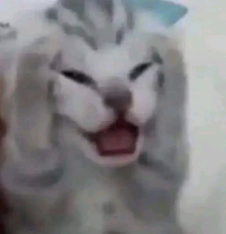 เด็กตาดำๆ tweet media