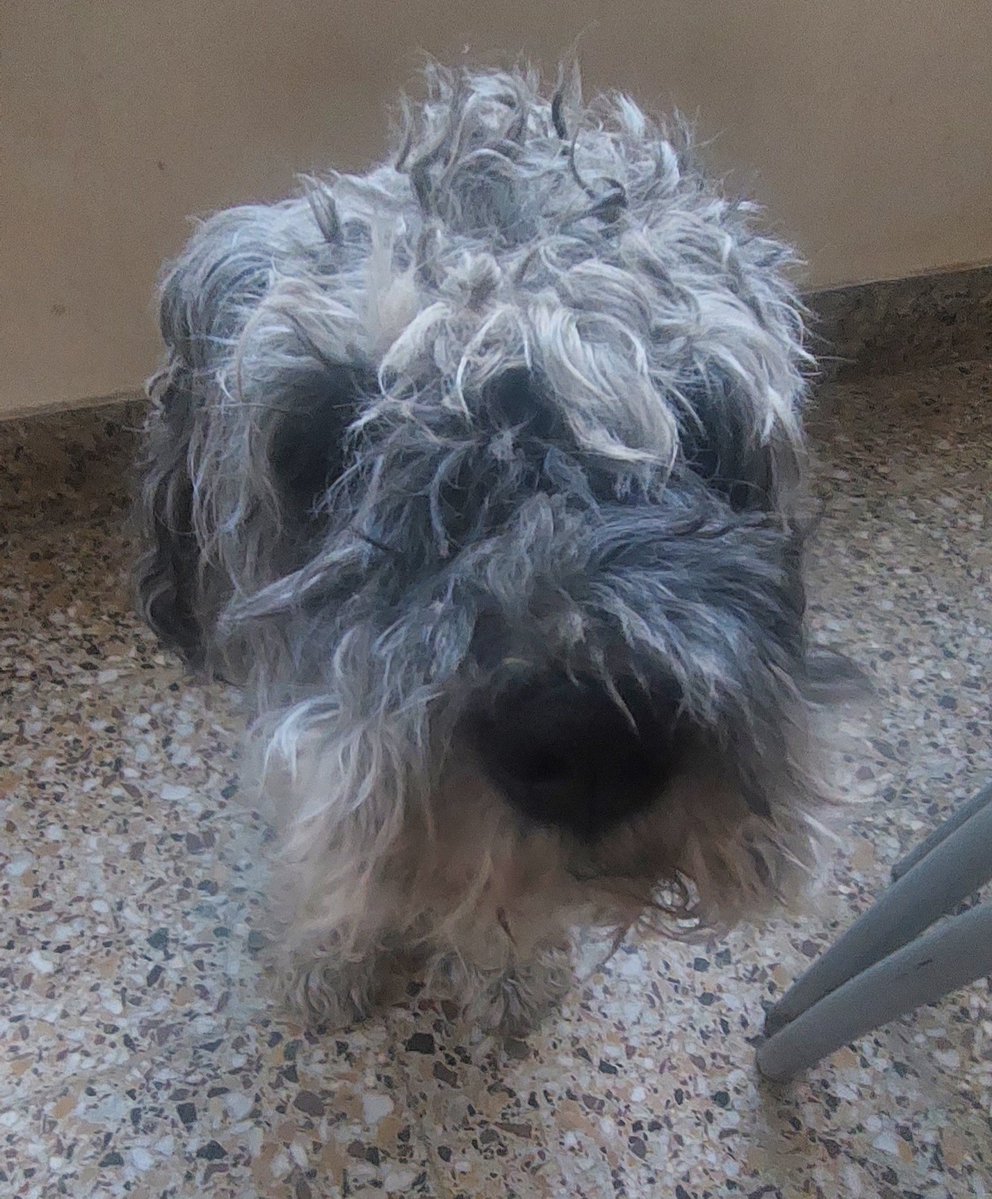 SUNNY is watching The Boys 5 tweet media