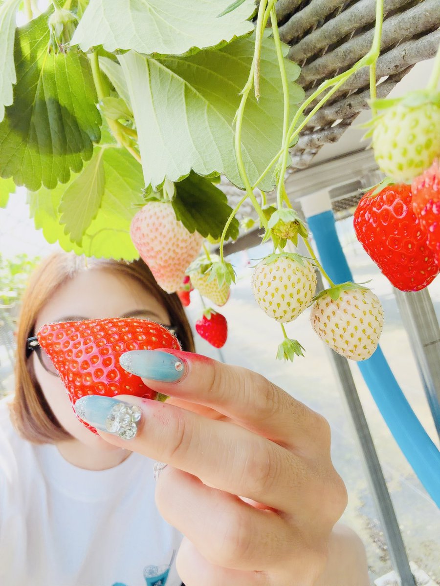 あやこさんの趣味 tweet media