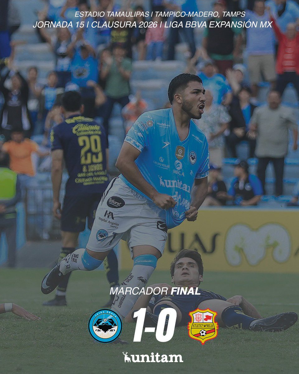 Jaiba Brava tweet media