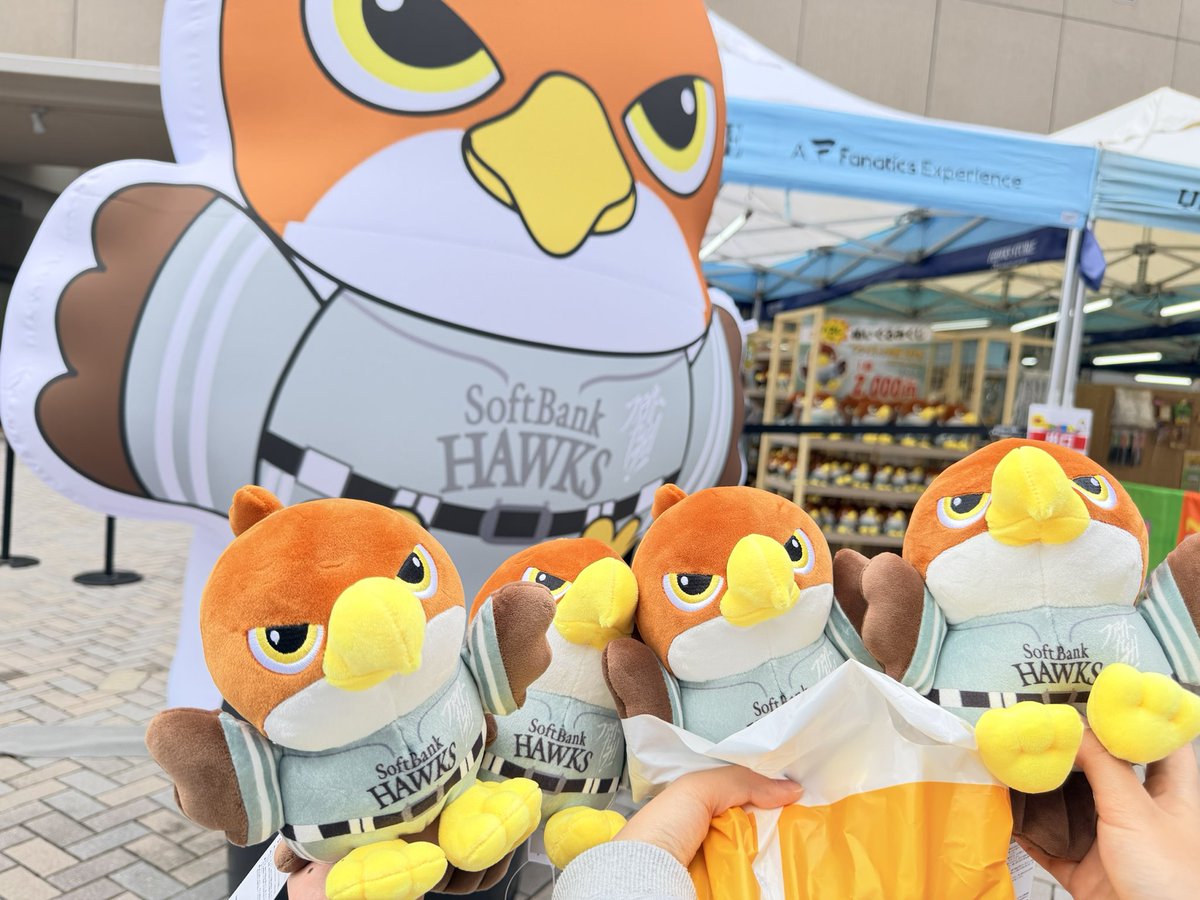 みやび🐰 tweet media