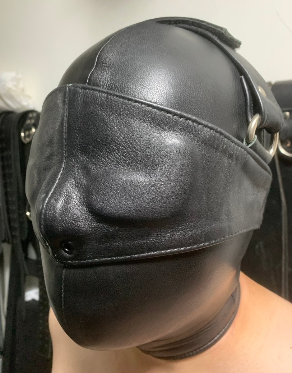 SBondage tweet media