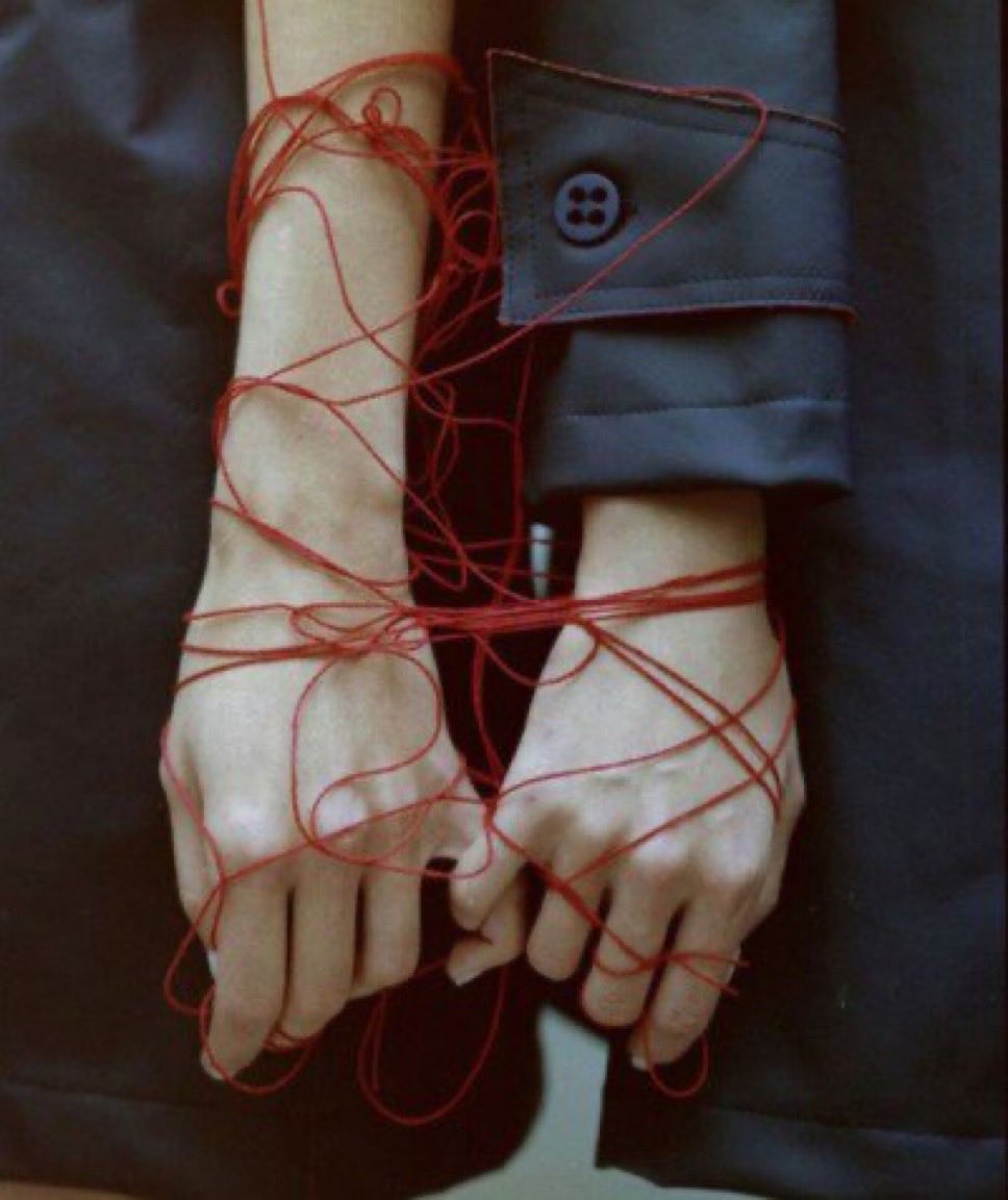 Fabiolacarolina tweet media