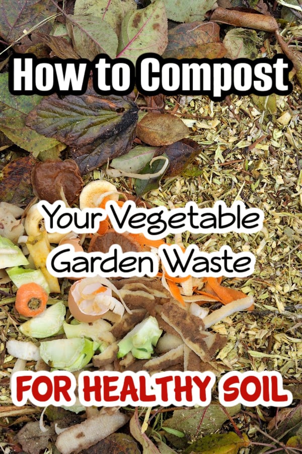 Dian_Farmer_'s tweet image. Learn how to compost your vegetable garden scraps to create healthy soil for a thriving garden. #Composting #GardeningTips

dianfarmer.com/compost-your-v…
#veggiegarden #greenthumb