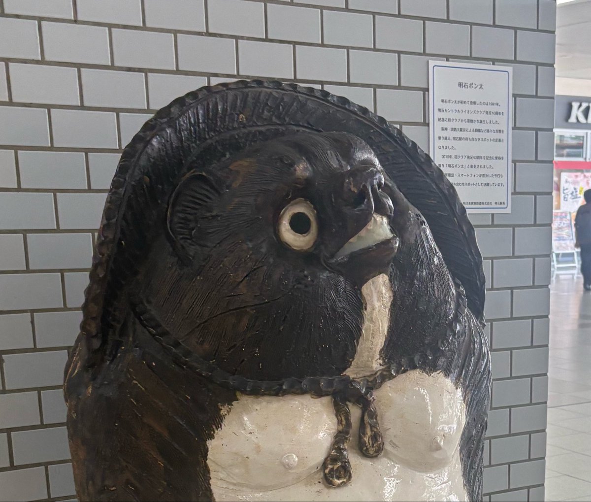 王塚台のかき氷屋さん(王塚台のケーキ屋さん) tweet media