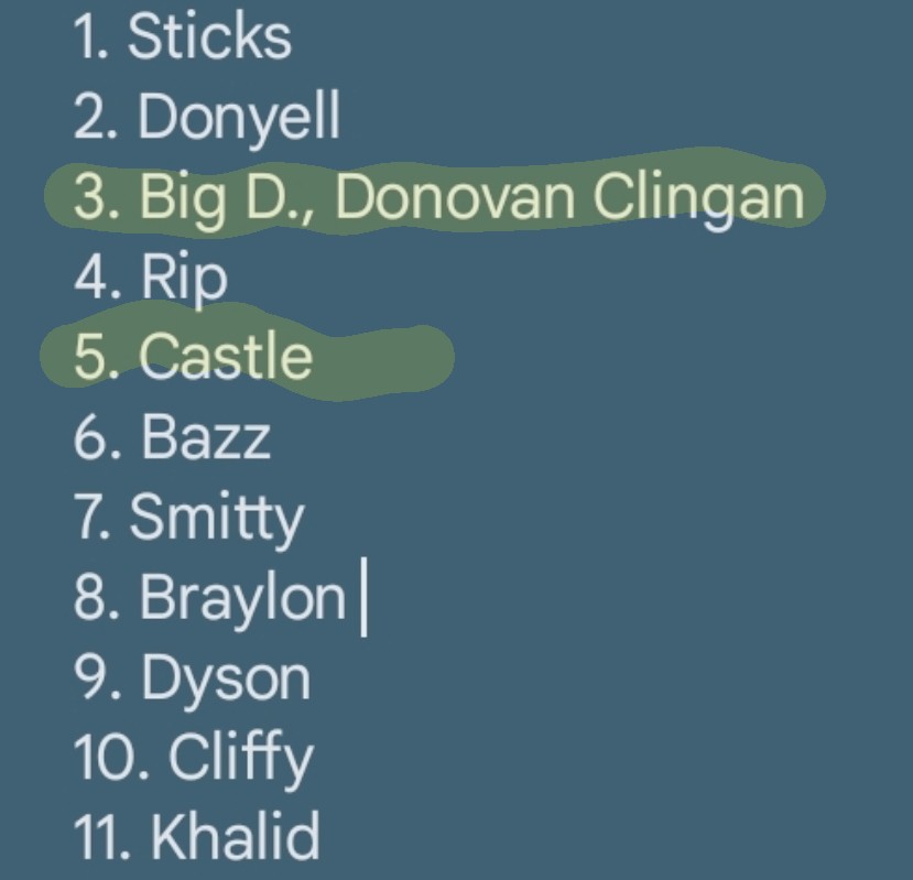 pauldrewry's tweet image. My Re-Ranked 2026 Personal Favorite Huskies. My "Top Dogs." Can't decide which NBA Squad to pull for tonight.  

#UConn #Huskies