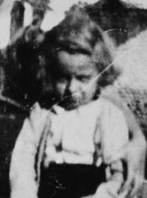 Auschwitz Memorial tweet media