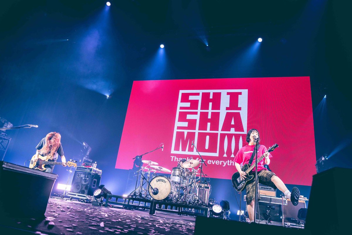 SHISHAMO tweet media