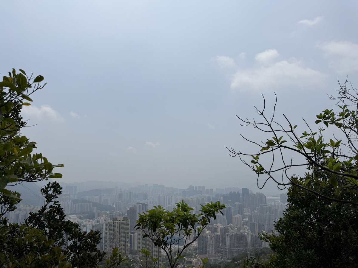 潜水观察员🇨🇳 tweet media