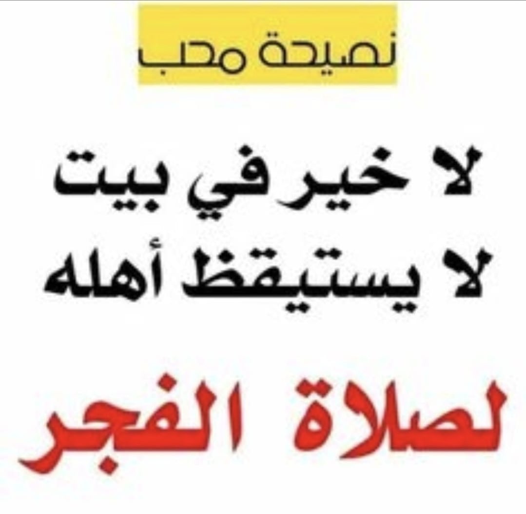 maghawri shinnawi tweet media