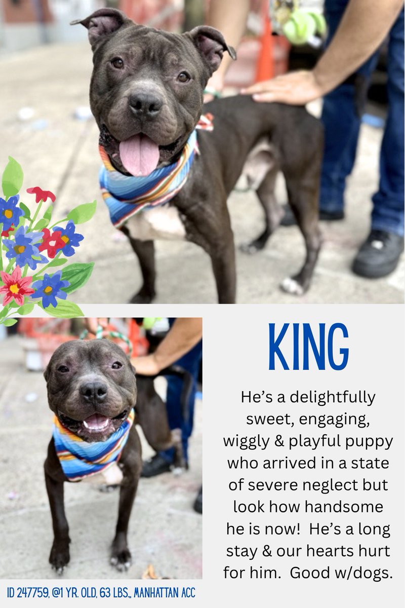 Not the Same tweet media