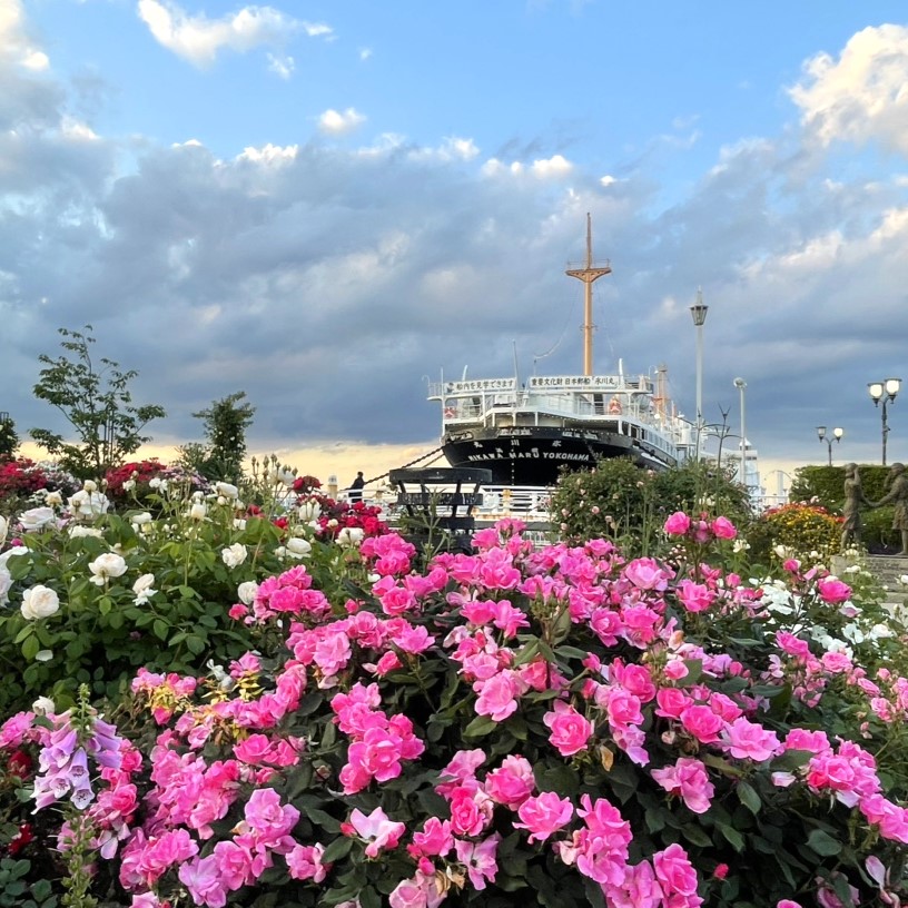 横浜観光情報【公式】 tweet media