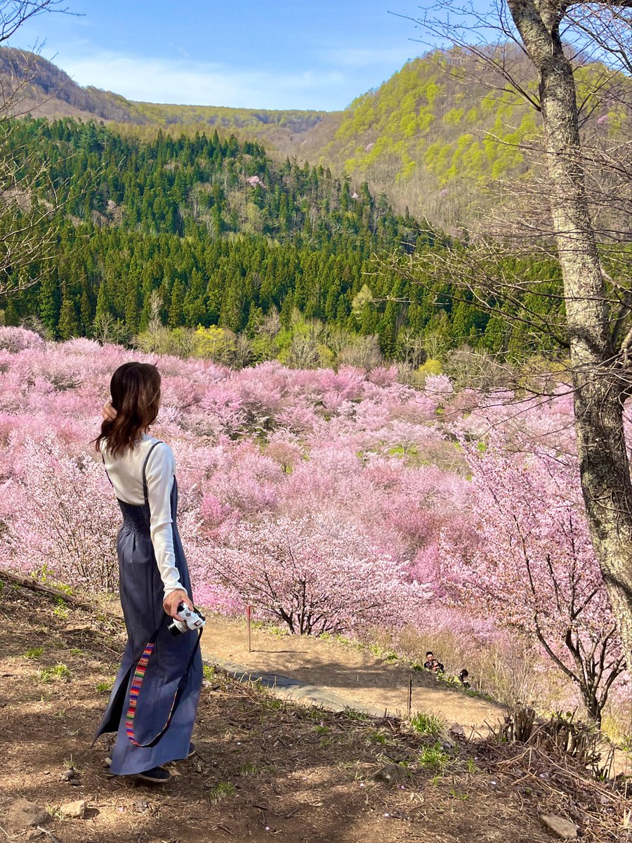 なつき tweet media