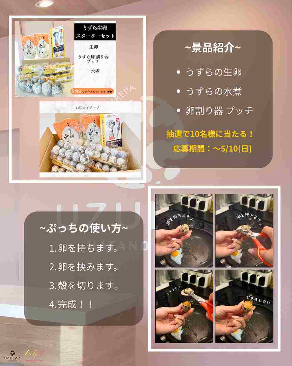 幡野ファーム丨豊橋うずら tweet media