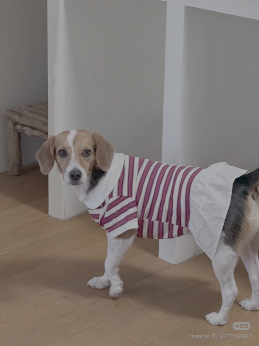 WayV XIAOJUN JP 🦕 tweet media