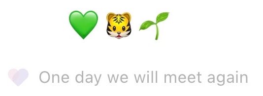 ‎：͡◕. ◕͡. 🌷 tweet media