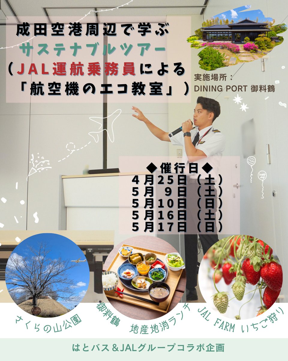 JAL's now【公式】 tweet media