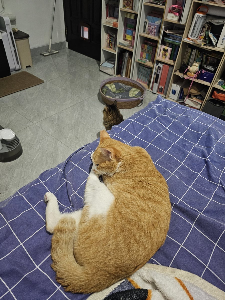 Coffee bae tweet media