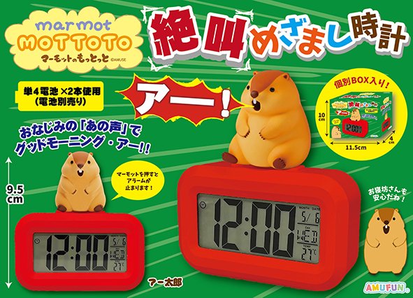 アミューズ AMUFUN【公式】 tweet media