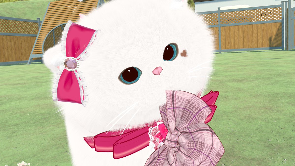 ヒトデ tweet media