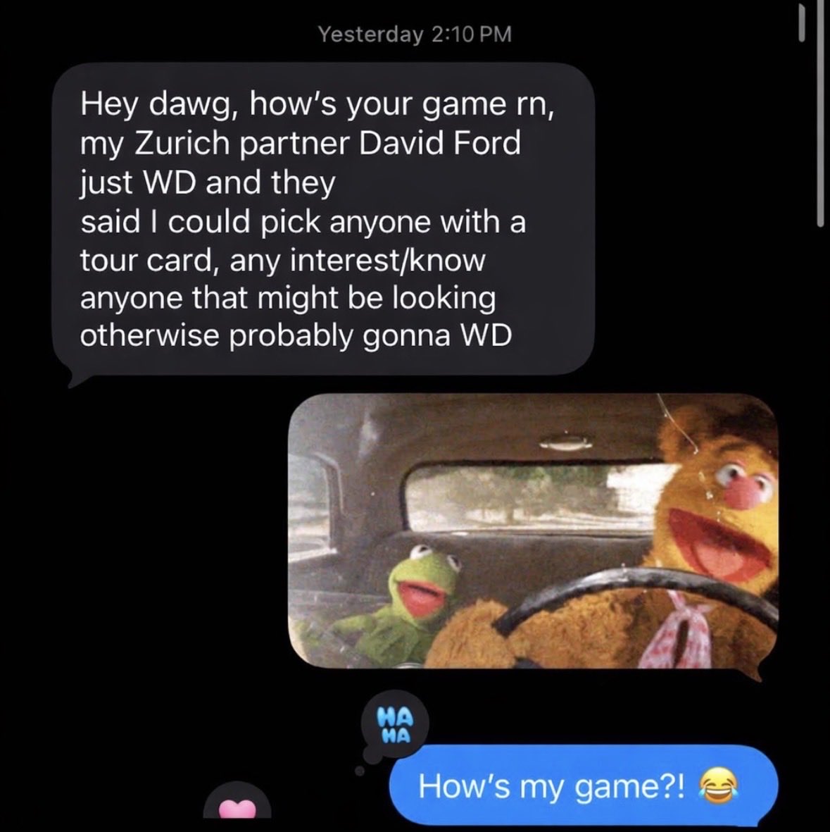 Smylie Kaufman tweet media