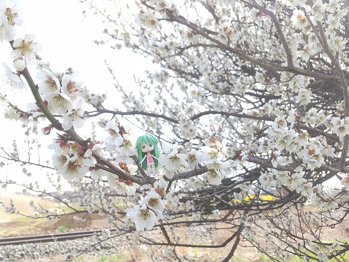 🌱 ニッタ tweet media