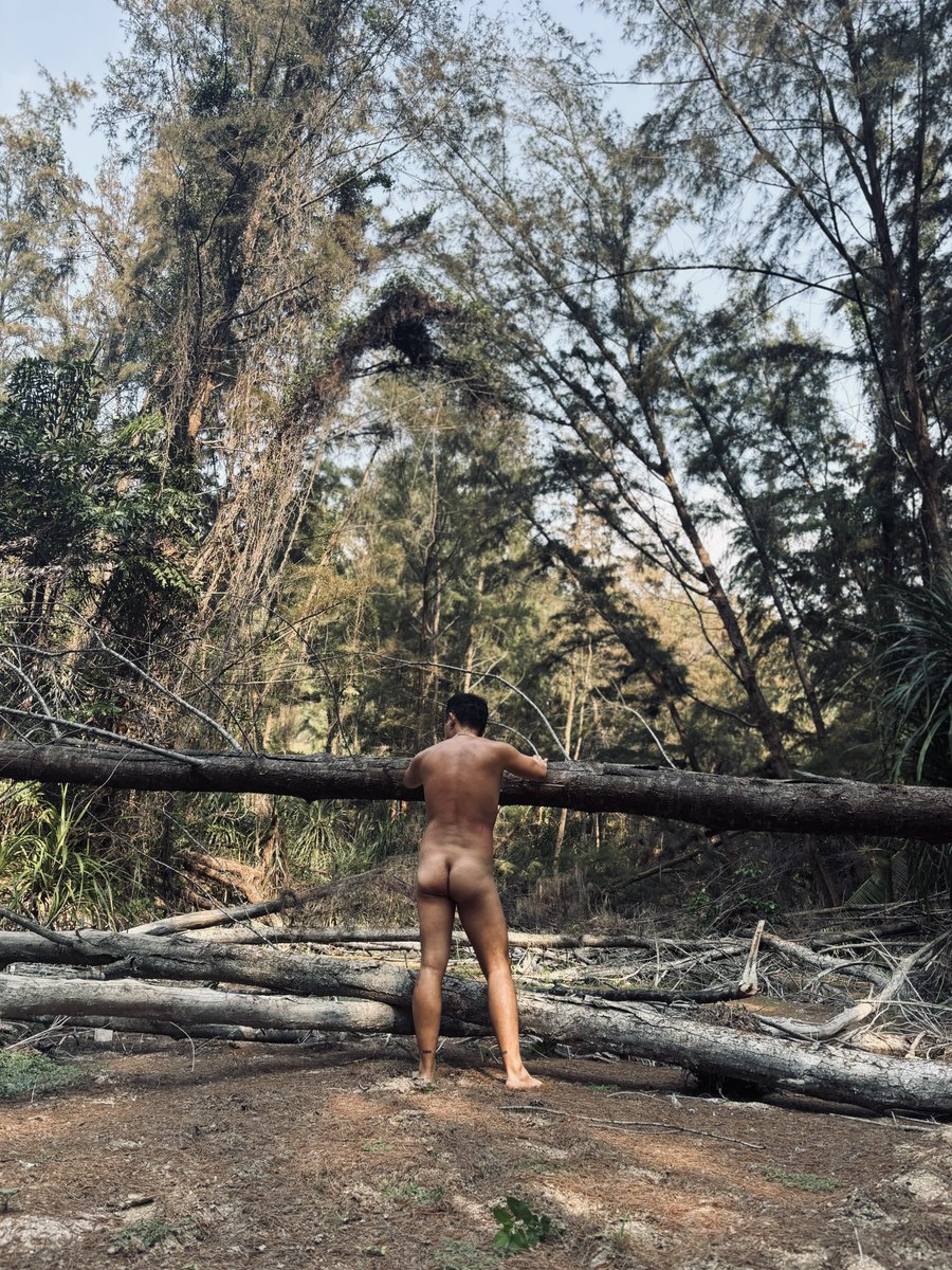 AL_life2016's tweet photo. Into the wild. https://t.co/AWwTTeor4g