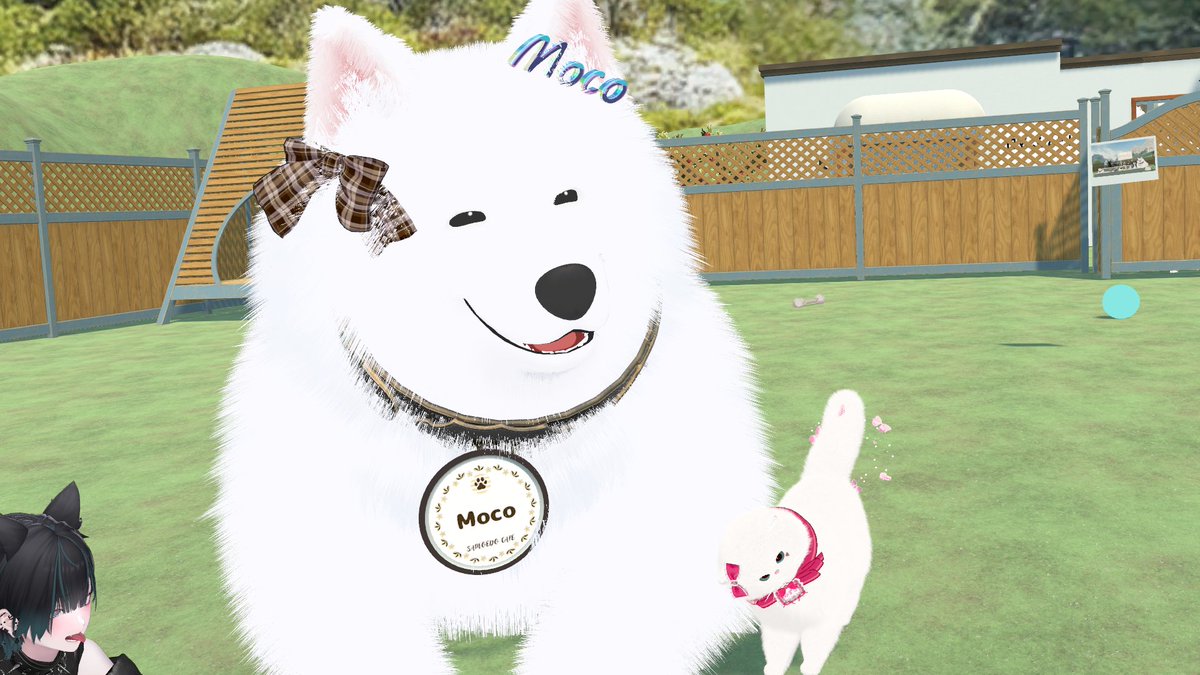 ヒトデ tweet media