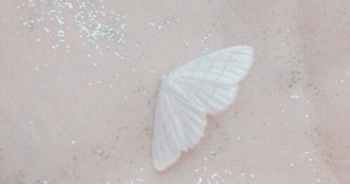 𝑗𝑢𝑙𝑒𝑠 𝜗𝜚 tweet media