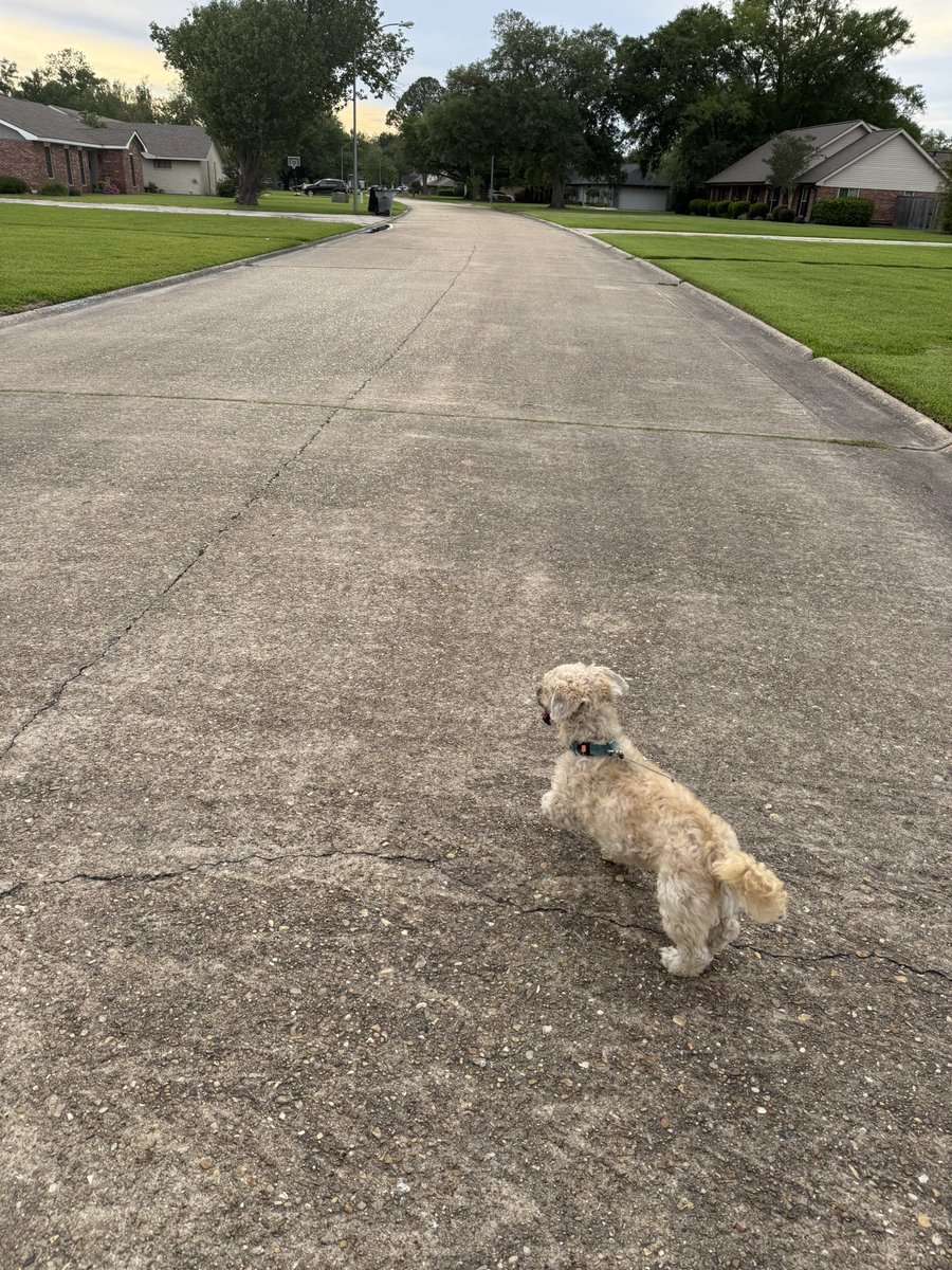 Katie Prejean McGrady tweet media