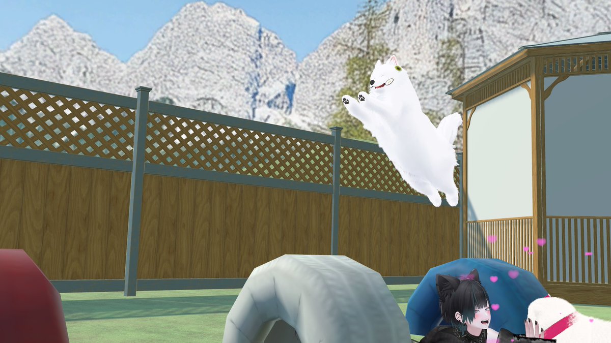 ヒトデ tweet media