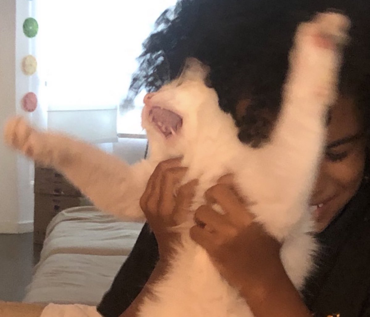 xiiló_²brownbyUNCORTIS tweet media