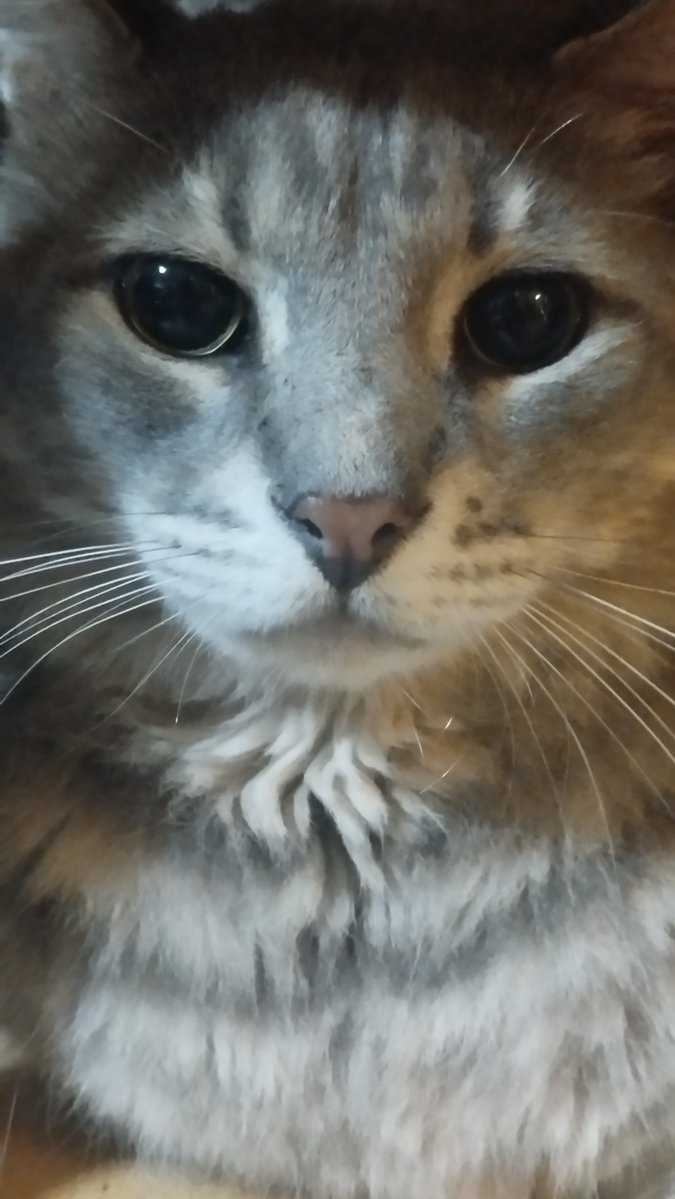 b̕e̛̍̎̄̀́̕͘l̡̢̧̨̛̍̎̀́̕͘u̍̎̄̕c̕o̖̗̕r̛̖̗̘̙̜̝̞̕è̛́̕͘ tweet media