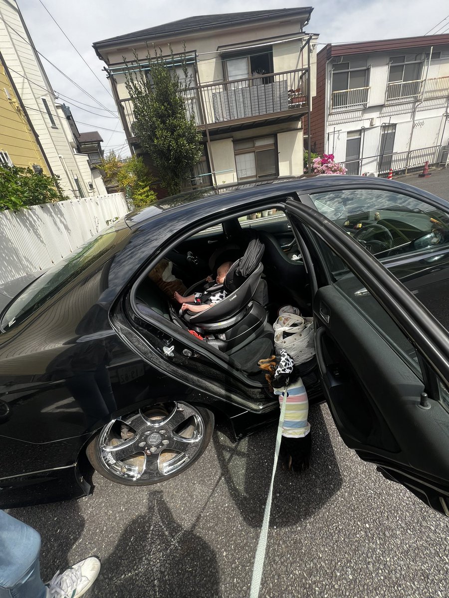 どりー🦦 tweet media