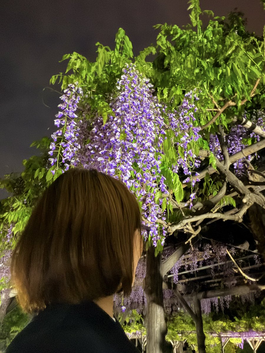 あやこさんの趣味 tweet media