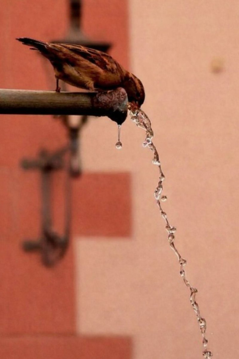 LuyimaHudson's tweet photo. What does “being like water” mean to you? Drop your thoughts below 👇 https://t.co/MSsIwAdZ3A