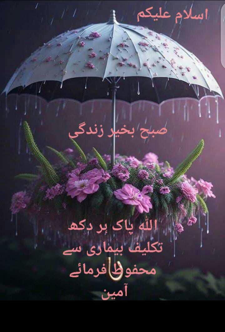 Nighat Seema tweet media