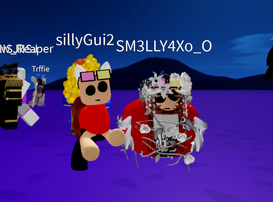 THE eclipse tweet media