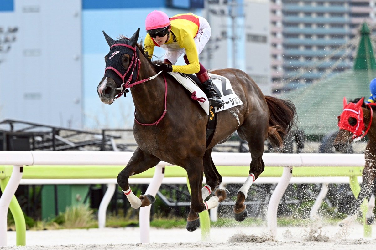 福田真広厩舎 / 大井競馬場小林分場 tweet media