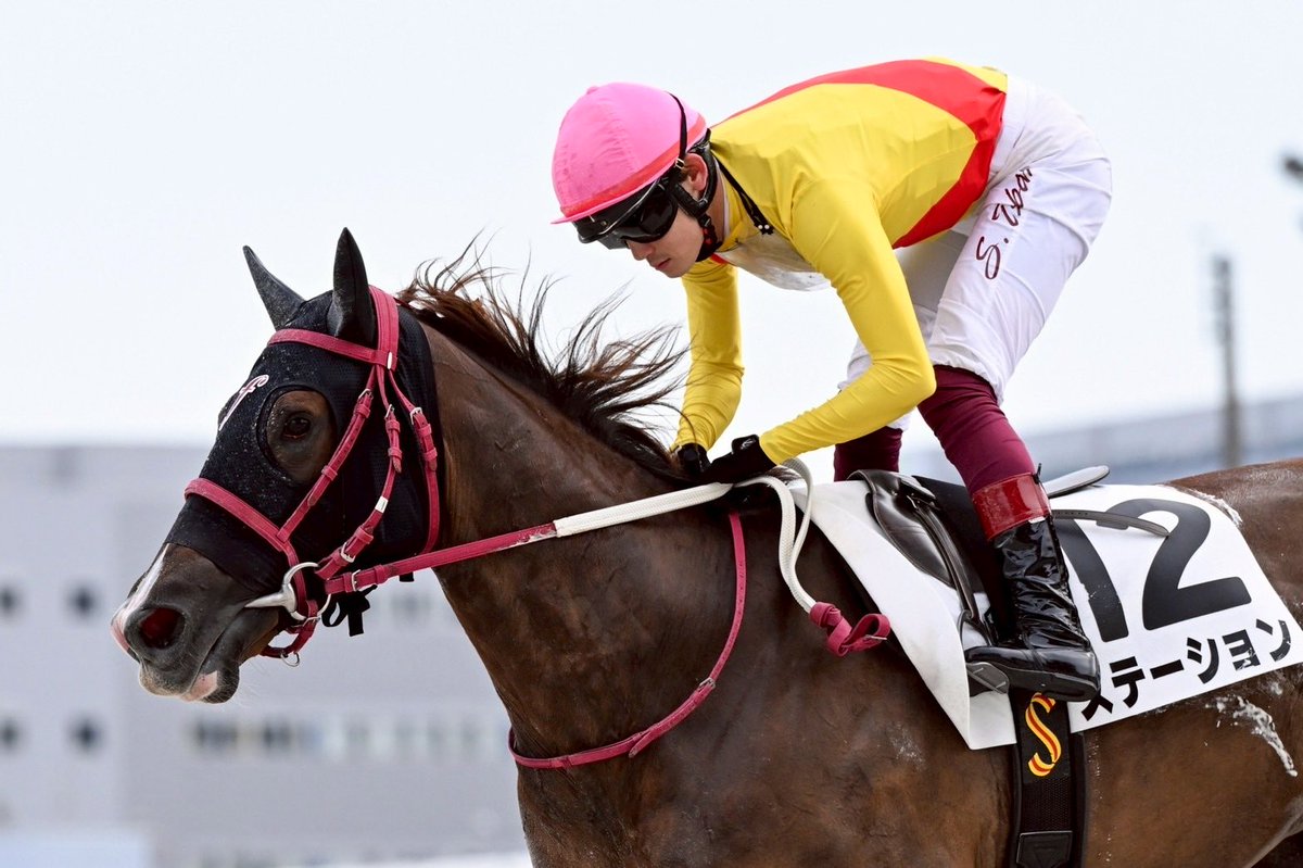 福田真広厩舎 / 大井競馬場小林分場 tweet media
