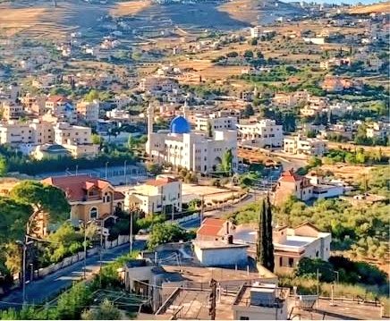 Paytience tweet media