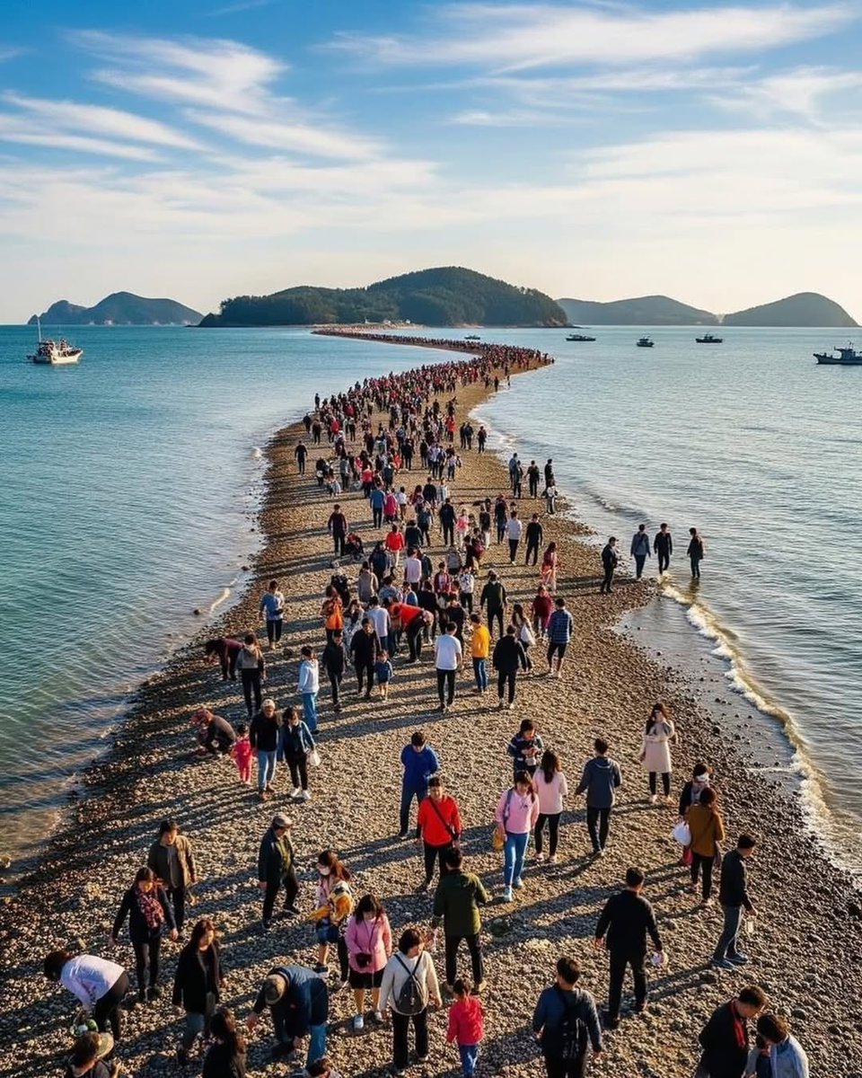 Jerry (Brother Jeremiah) tweet media