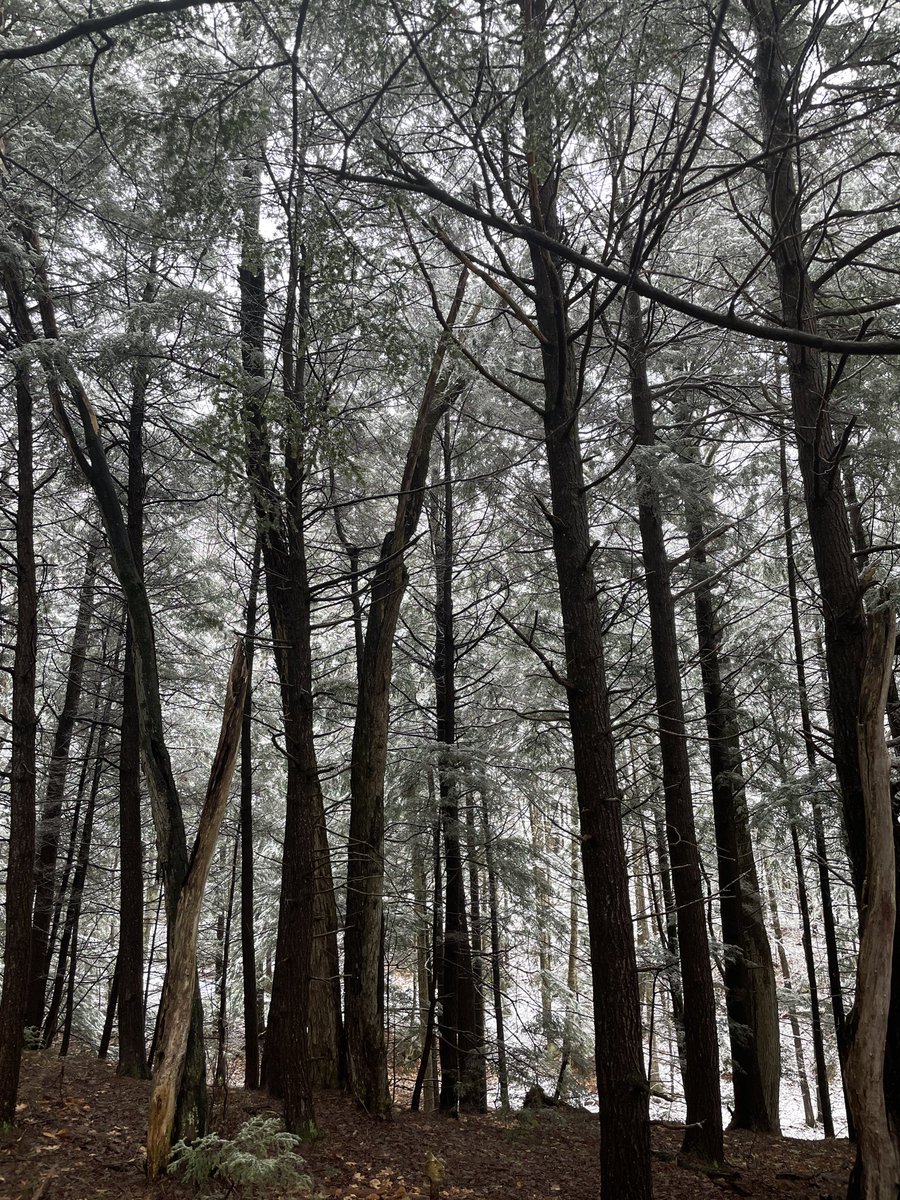 Katrin Albert tweet media