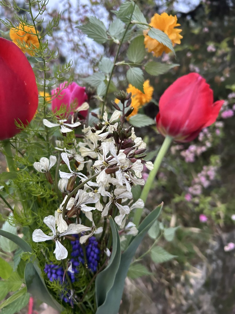 けいこ🍀@日日是好日＿保育士 tweet media